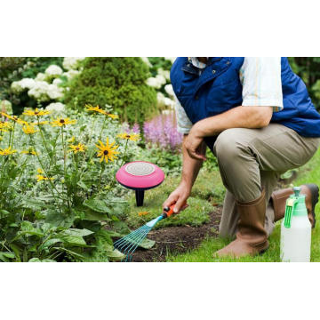 Garden light with speaker